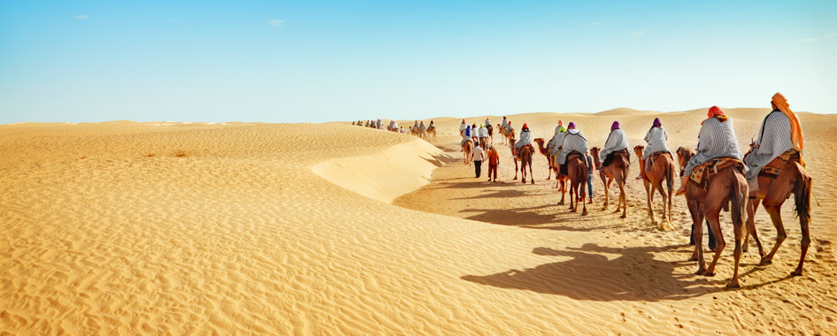 Viaggi Hocheppan e Schwarz Viaggi Hocheppan e Schwarz